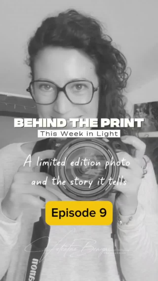 619446299 1211185013873616 1152304500299281324 n