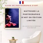 FR 1 Maîtriser la photographie d'art en édition limitée - cover