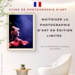 FR 2 Maîtriser la photographie d'art en édition limitée - cover