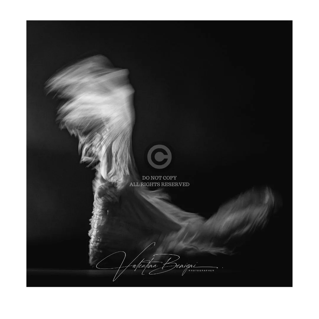 Limited edition fine art photography print