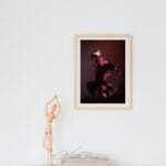 Limited edition fine art photography print - framed