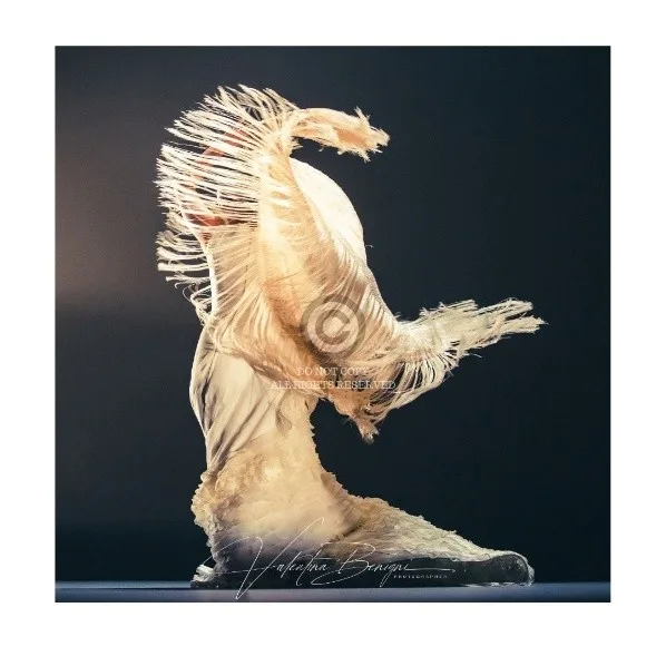 Limited edition fine art photography print