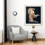 Limited edition fine art photography print - framed