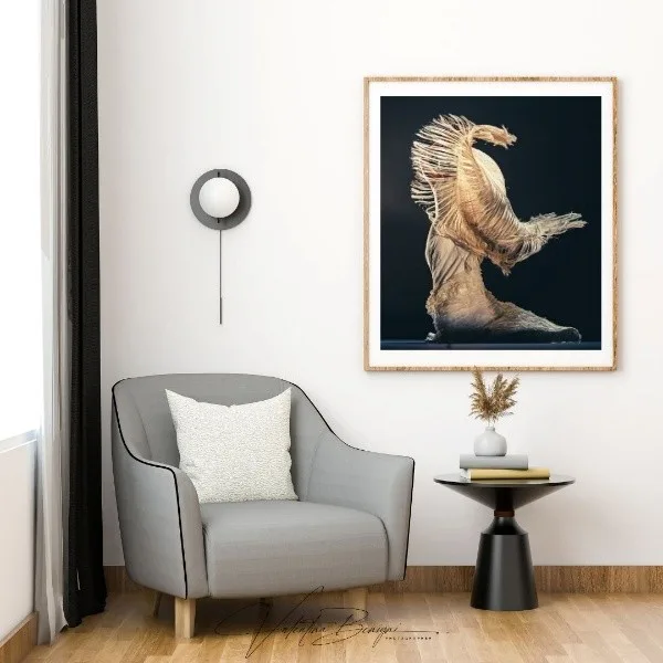 Limited edition fine art photography print - framed