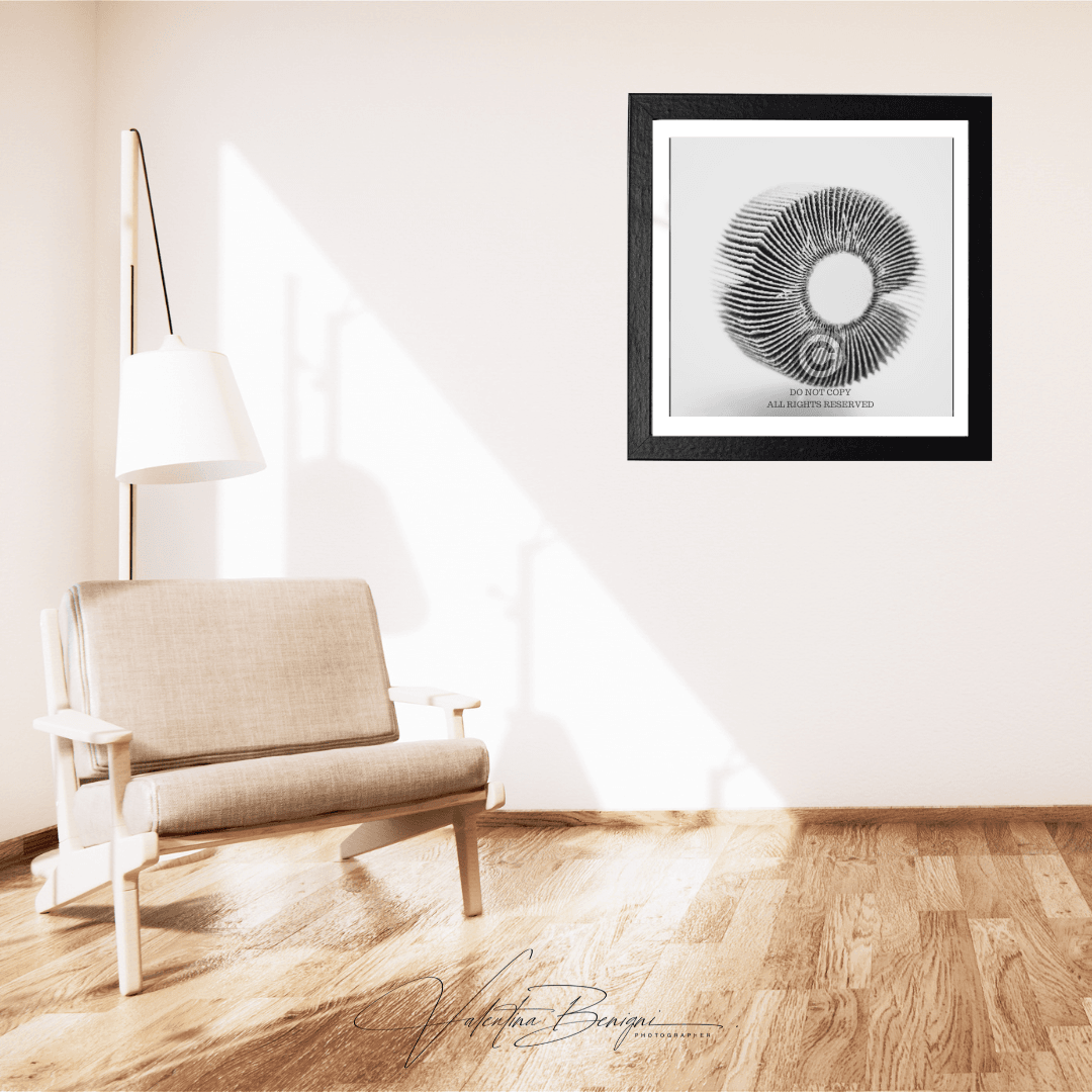 tax-deductible fine art photo print for business decoration
