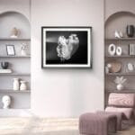 Limited edition fine art photography print - framed