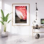 Limited edition fine art photography print - framed
