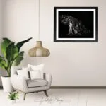 Limited edition fine art photography print - framed