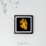 Limited edition fine art photography print - framed