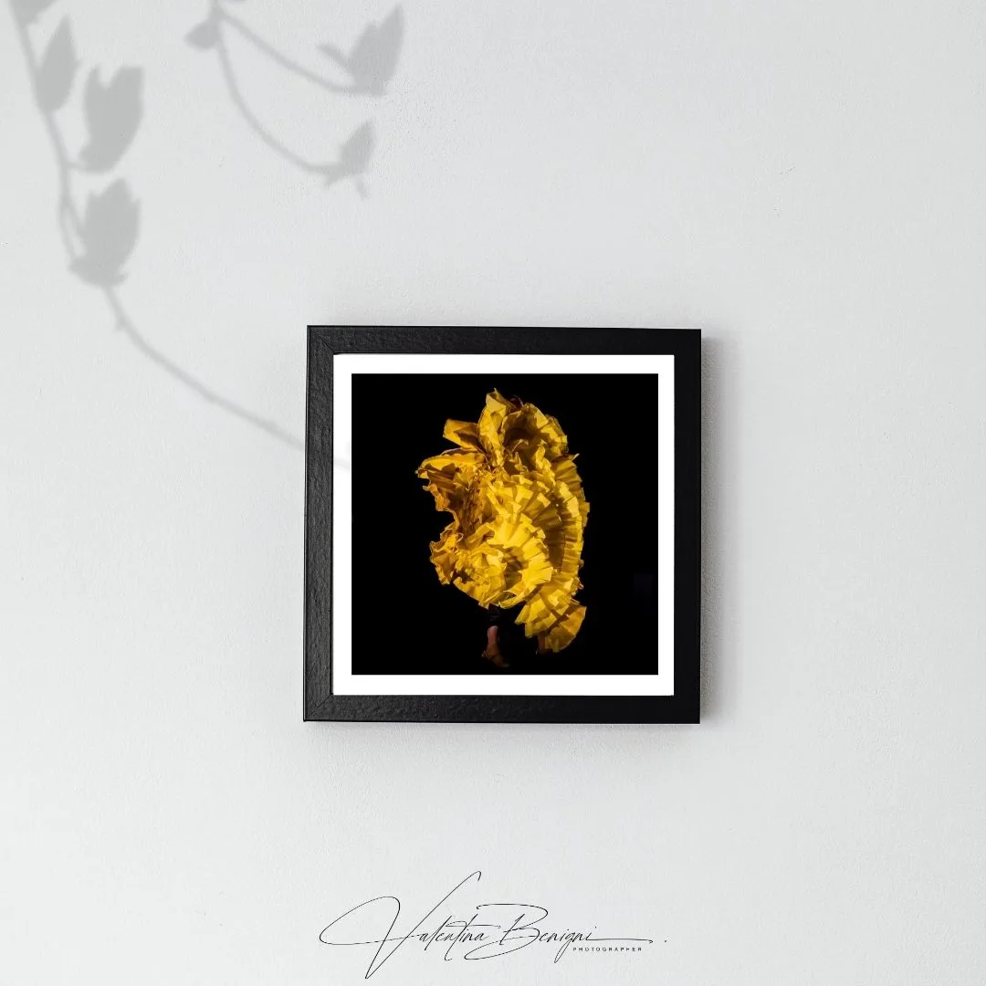 I bloom at last Limited edition fine art photography print - framed