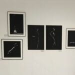 Expo Arles Valentina Benigni